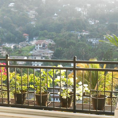Luxury Apartment The Walkers Nest 康提 外观 照片