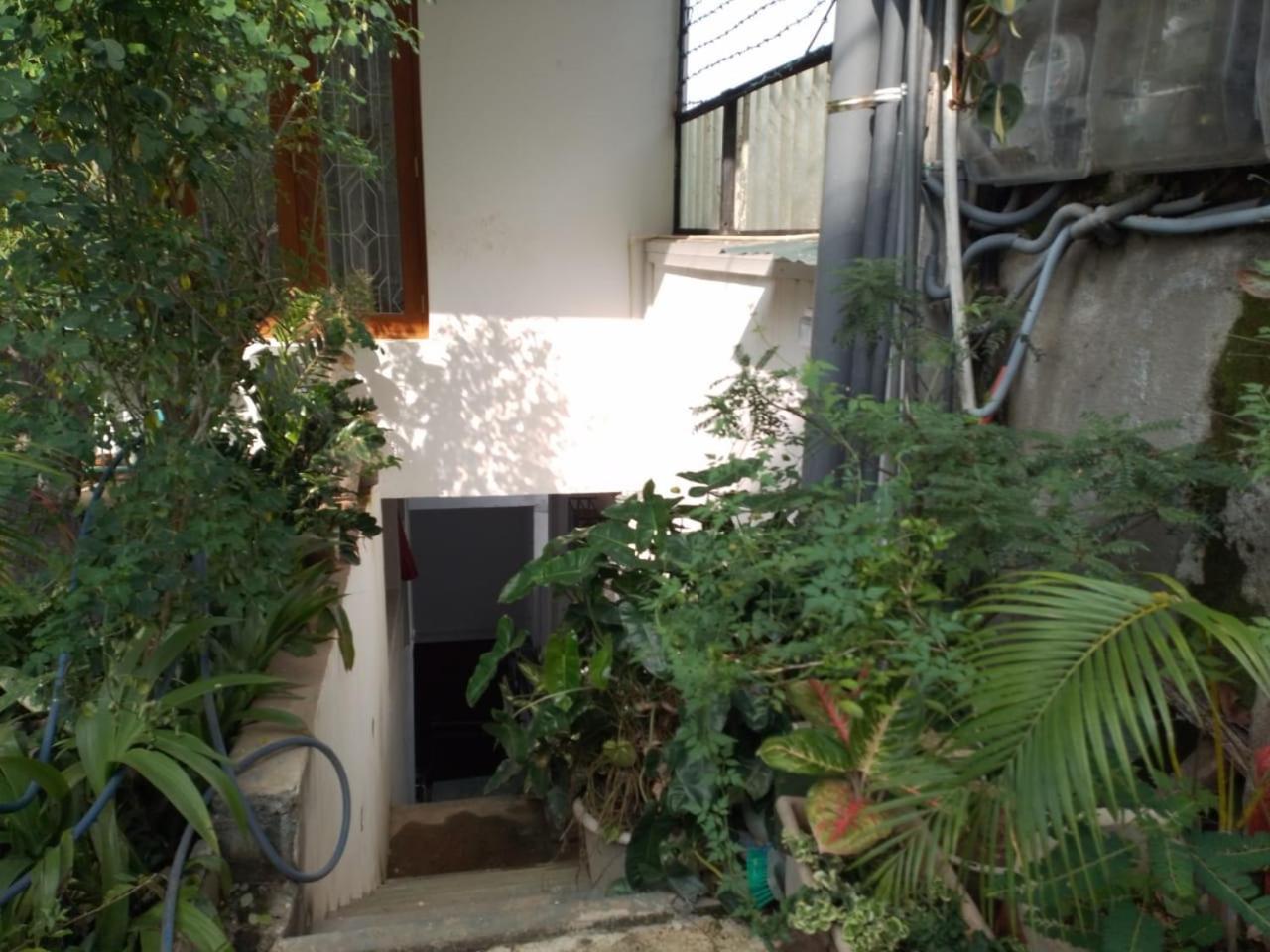 Luxury Apartment The Walkers Nest 康提 外观 照片